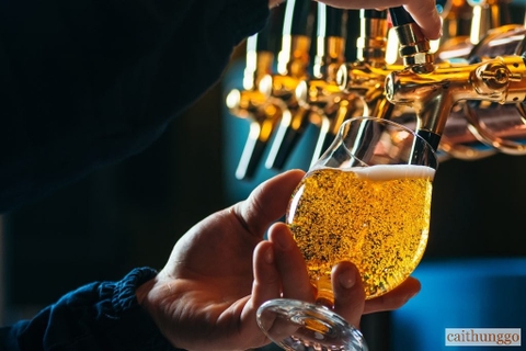 Một Chai Whisky Chứa Bao Nhiêu Đơn Vị Cồn?