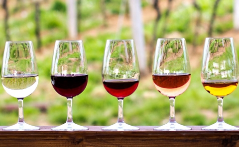 Người mới bắt đầu uống rượu vang nên chọn như thế nào - Hướng dẫn chi tiết cho những tín đồ mới