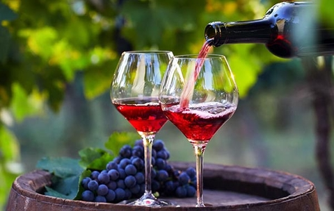 Các giống nho làm rượu vang Pháp phổ biến nổi tiếng thế giới