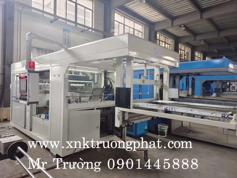 Máy hút nhựa định hình SERVO TPM-XG– D