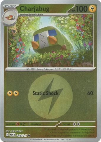 Thẻ hình Pokemon Charjabug 065/217 - Lá bài lẻ Ascended Heroes Common Energy Symbol Holo tiếng Anh chính hãng