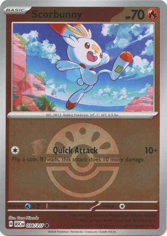 Thẻ hình Pokemon Scorbunny 036/217 - Lá bài lẻ Ascended Heroes Common Friend Ball Holo tiếng Anh chính hãng