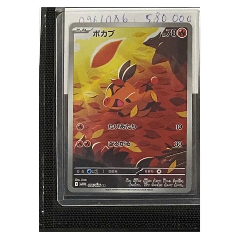 Thẻ hình Pokemon Tepig AR 096/086 - Lá bài lẻ White Flare SV11W tiếng Nhật chính hãng