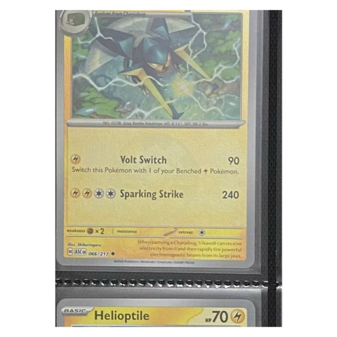 Thẻ hình Pokemon Vikavolt 066/217 - Lá bài lẻ Ascended Heroes Uncommon Quick Ball Holo tiếng Anh chính hãng