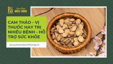Cam Thảo - Vị thuốc hay trị nhiều bệnh