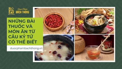 Thuốc và món ăn từ câu kỷ tử