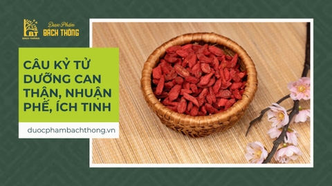 Câu kỷ tử dưỡng can thận, nhuận phế, ích tinh