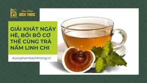 Giải khát ngày hè, bồi bổ cơ thể cùng trà Nấm Linh Chi