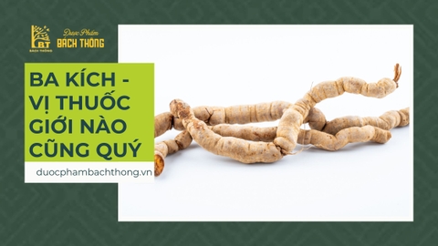 Ba kích - Giới nào cũng quý