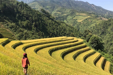 Tour Mù Cang Chải - Ngọc Chiến - Tà Xùa Mùa Lúa Chín 3 Ngày 2 Đêm