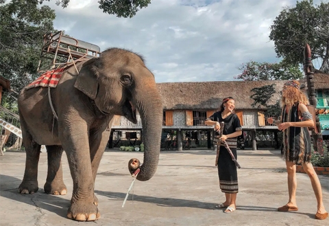 Tour Du Lịch Hà Nội - Đà Lạt - Buôn Mê Thuật 4 Ngày 3 Đêm