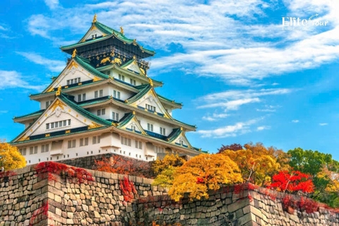 Tour Nhật Bản mùa thu Tokyo - Núi Phú Sĩ - Làng Hakuba - cáp treo Hakuba Harbor - Kanazawa - Làng cổ Shirakawago