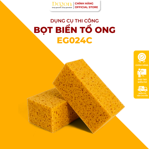 BỌT BIỂN TỔ ONG (VÂN NHỎ) · ảnh 1