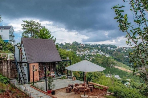 Homestay view đồi trà Lâm Đồng – Trải nghiệm xanh giữa cao nguyên