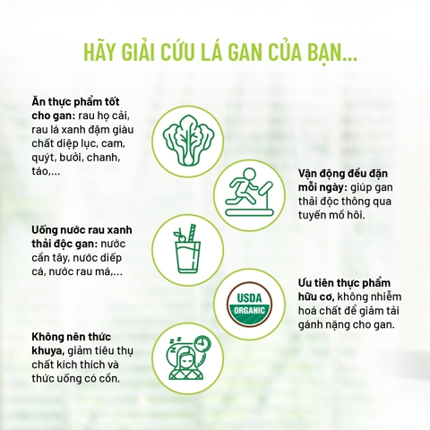 Bột Rau Củ Tự Nhiên Dalahouse