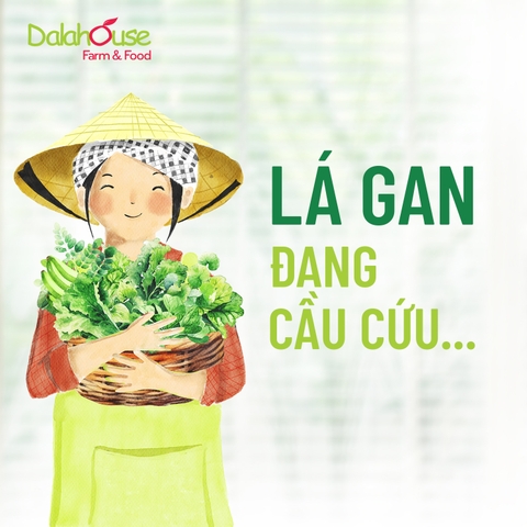 Bột Rau Củ Tự Nhiên Dalahouse