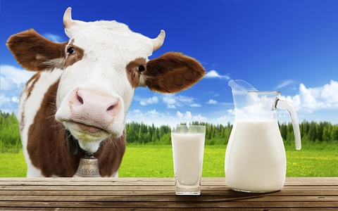 SO SÁNH SỮA BỘT VÀ SỮA TƯƠI? GỢI Ý THƯƠNG HIỆU SỮA TỐT CHO TRẺ 3 TUỔI TRỞ LÊN