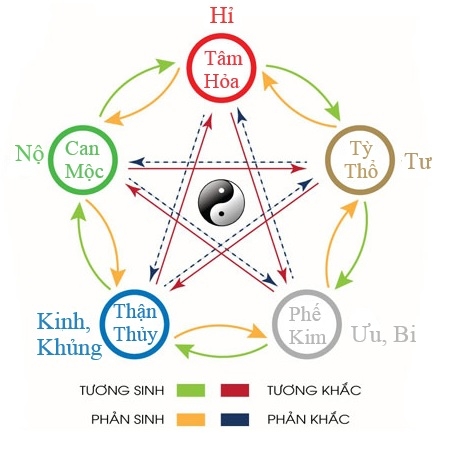 TỔNG HỢP ĐẦY ĐỦ CÁC LOẠI “TÍNH” TRONG ĐÔNG Y - BẢN ĐỒ NĂNG LƯỢNG