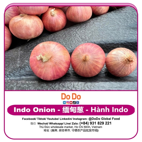 Hành indo