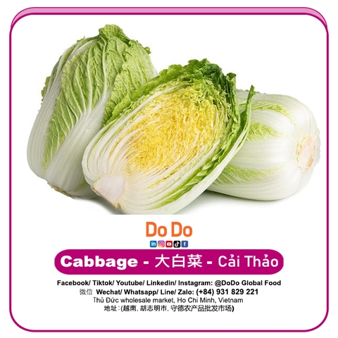 Cải thảo