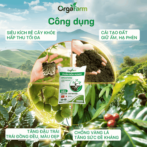 Phân Bón Hữu Cơ Humic OrgaFarm - 1KG