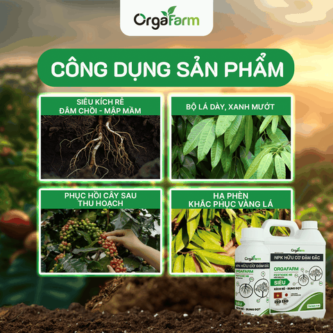 NPK Hữu Cơ OrgaFarm - Siêu Kích Rễ Bung Đọt - 20L
