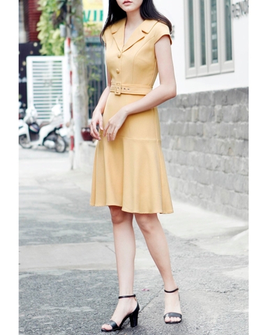 Đầm Ck Tay Con Cổ Vest Hàng Nút Dây Đai Tùng Xòe - Lần 2-L08112811182