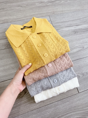Áo Thun Len ZR Vnxk Nhiều Màu-TPSRFTL323