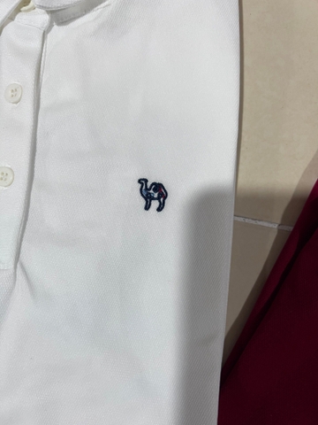 Áo Thun Polo Nam Xuất Hàn Dư Xịn Nhiều Màu-TPSRFAN1222