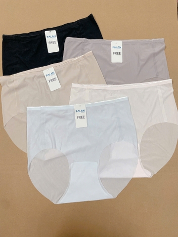Quần Lót PAL 5 Màu-TPSRQL051225
