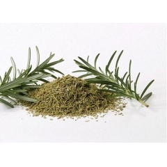 Lá thơm hương thảo Rosemary 10g