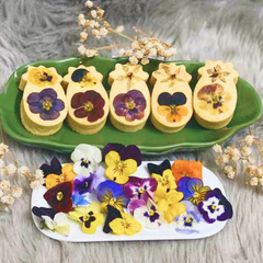 Hoa Bướm Viola Mixed Edible Flowers hoa tươi trang trí bánh 12g