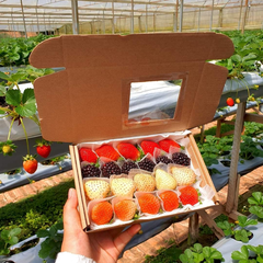 Hộp mix Dâu Nhật - Dâu Bạch Tuyết - Phúc bồn tử đen 250g