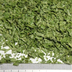 Lá Mùi Tây Parsley 10g