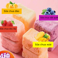 Sữa chua sấy lạnh mix vị 100gr