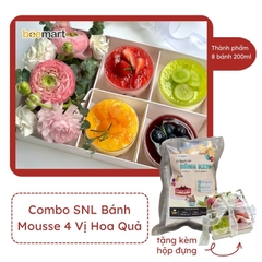 Combo 4 set Mousse hoa quả 4 vị ( Xoài - Dâu - Việt Quất - Kiwi) tặng kèm 2 hộp 4 ngăn