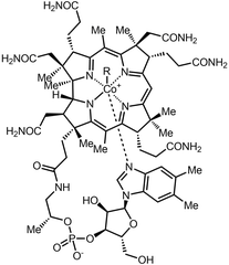 Cấu trúc Vitamin B12 99% 