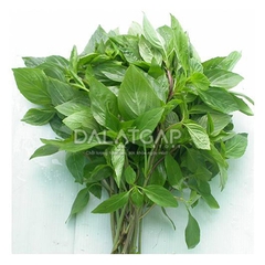 Quế Ta/Thai Basil