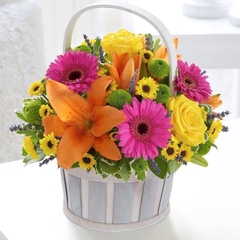 Hoa nắng mùa xuân