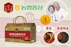 Nước Hồng Sâm Đông Trùng Hạ Thảo Vegetable Worms Red Ginseng Dong Chung Ha Cho 20 gói*70ml