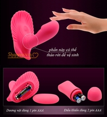 Dương vật giả đa năng silicone mini điều khiển từ xa Fancy Clamshell