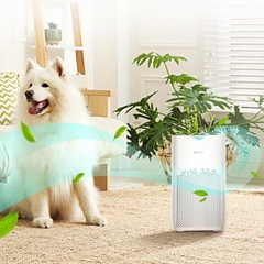 Máy lọc không khí ion EZVIZ CS-EB250A Máy lọc không khí ion EZVIZ CS-EB250A