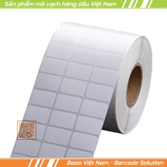 Giấy in tem nhãn mã vạch 100x100 mm, 50m (4' x 4')