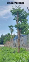 Một số công trình đã thực hiện