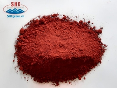 Bột màu Oxit sắt màu đỏ nâu ( Red H101)