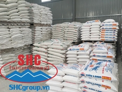 Vôi bột Cửu Long Gold