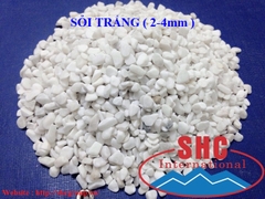 Sỏi trắng muối