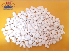 Sỏi trắng muối