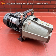 Máy Bơm Nước Con Lợn BẢO LONG JET-100