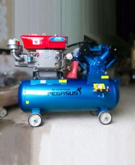 MÁY NÉN KHÍ CHẠY BẰNG DẦU DIESEL TM-W-1.6/12.5-500L